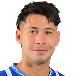N. Fernandez