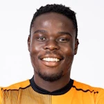 Ndamulelo Maphangule